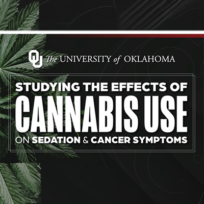OU Researchers Study Effects of Cannabis on Sedation, Cancer Treatment Symptoms